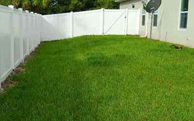 Photo of Stephen k.'s yard after getting lawn care in Palm Bay, FL