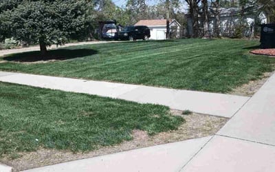 Photo of Ricky P.'s yard after getting lawn care in Omaha, NE
