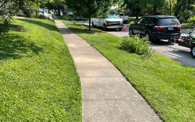 Photo of Dean J.'s yard after getting lawn care in Rosemount, MN