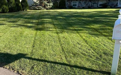 Photo of Ricardo S.'s yard after getting lawn care in Cedar Springs, MI