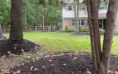 Photo of Nikki S.'s yard after getting lawn care in Medford, NJ