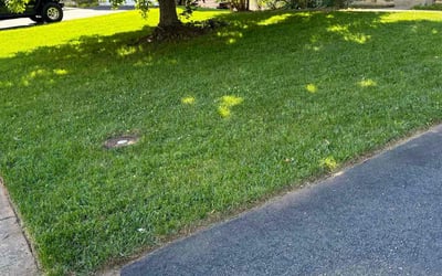 Photo of Steven D.'s yard after getting lawn care in Bristow, VA