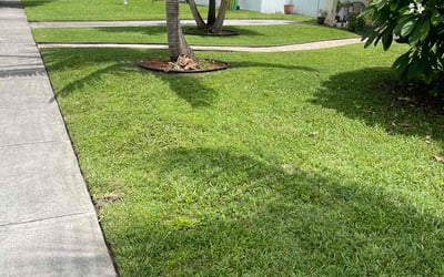 Photo of Joan Z.'s yard after getting lawn care in Opa Locka, FL