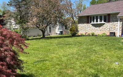 Photo of Anecia P.'s yard after getting lawn care in Collegeville, PA