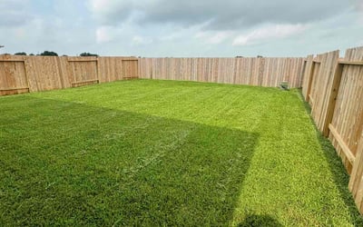 Photo of Matthew C.'s yard after getting lawn care in Katy, TX