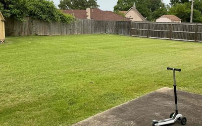 Photo of Jennifer M.'s yard after getting lawn care in Denton, TX