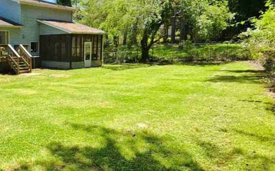 Photo of Donald J.'s yard after getting lawn care in Lithonia, GA