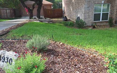 Photo of Audrey H.'s yard after getting lawn care in San Antonio, TX