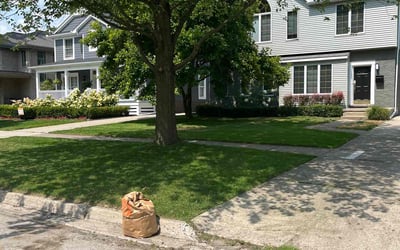 Photo of Steve J.'s yard after getting lawn care in Birmingham, MI