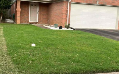Photo of Patricia L.'s yard after getting lawn care in Byhalia, MS