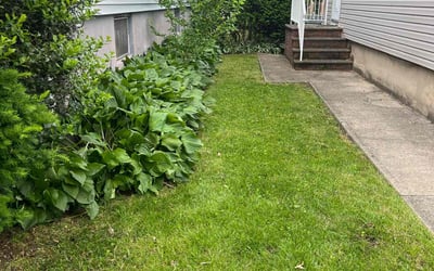 Photo of Dennis B.'s yard after getting lawn care in Temple, TX