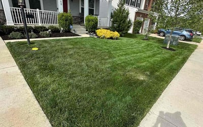 Photo of Tony T.'s yard after getting lawn care in Georgetown, KY