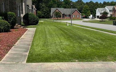 Photo of Andrea P.'s yard after getting lawn care in Toano, VA