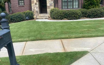 Photo of Cecelia C.'s yard after getting lawn care in Atlanta, GA