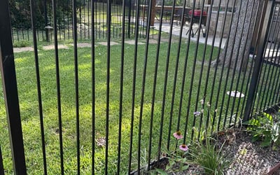 Photo of Alexis P.'s yard after getting lawn care in Acton, MA