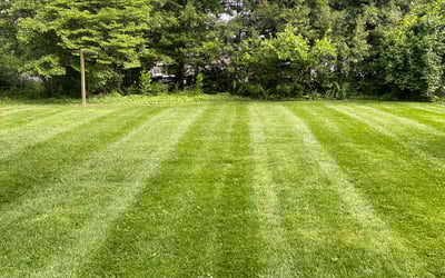 Photo of Matthew A.'s yard after getting lawn care in Worcester, MA