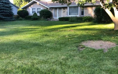 Photo of Jon S.'s yard after getting lawn care in Brookfield, WI