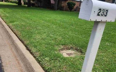 Photo of Lashonda P.'s yard after getting lawn care in Tuscaloosa, AL