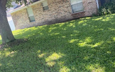 Photo of LaTrevia W.'s yard after getting lawn care in Green Cove Springs, FL
