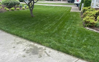 Photo of Deepak U.'s yard after getting lawn care in Fuquay Varina, NC