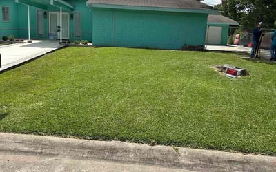 Photo of Marian M.'s yard after getting lawn care in Van Buren, AR