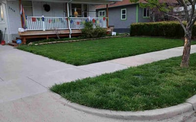 Photo of Scott K.'s yard after getting lawn care in Tooele, UT