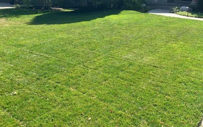 Photo of Gene R.'s yard after getting lawn care in Overland Park, KS