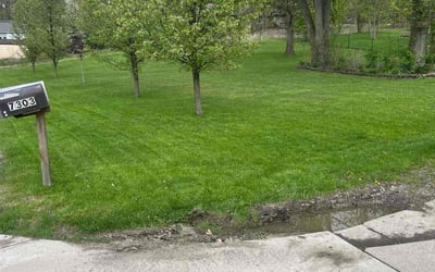 Photo of Andre C.'s yard after getting lawn care in Whiting, IN