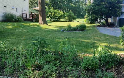 Photo of Randy M.'s yard after getting lawn care in Dover, NH