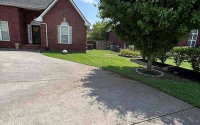 Photo of Celestine K.'s yard after getting lawn care in North Fort Myers, FL