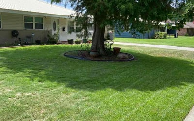 Photo of Jacob P.'s yard after getting lawn care in Loveland, OH