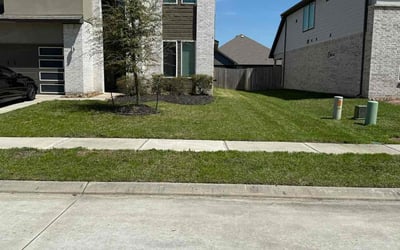 Photo of Luz M.'s yard after getting lawn care in Dayton, TX