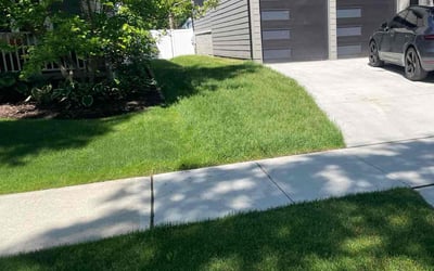Photo of Steve J.'s yard after getting lawn care in Birmingham, MI