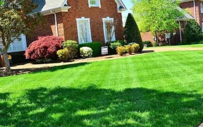 Photo of Sable C.'s yard after getting lawn care in Katy, TX