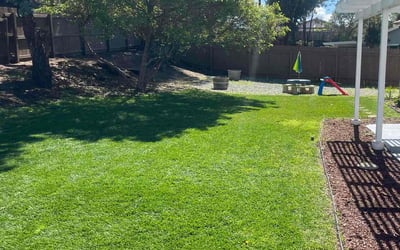 Photo of Christy D.'s yard after getting lawn care in San Diego, CA