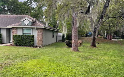 Photo of Bee B.'s yard after getting lawn care in Granite City, IL