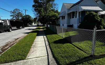 Photo of Francine P.'s yard after getting lawn care in Dundalk, MD