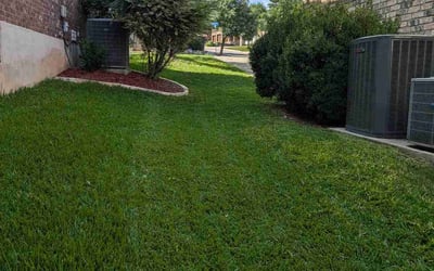 Photo of Laura M.'s yard after getting lawn care in La Vernia, TX
