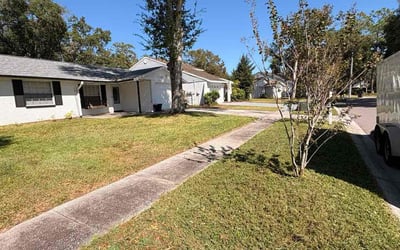 Photo of Lyn L.'s yard after getting lawn care in White House, TN