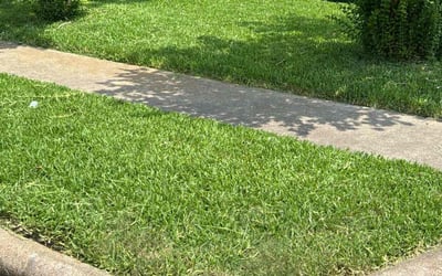 Photo of EJ L.'s yard after getting lawn care in Deer Park, TX