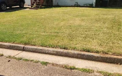 Photo of Chrystal S.'s yard after getting lawn care in Hightstown, NJ