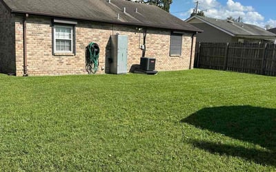 Photo of Carla P.'s yard after getting lawn care in Westwego, LA