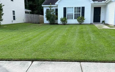 Photo of Toi J.'s yard after getting lawn care in Goose Creek, SC