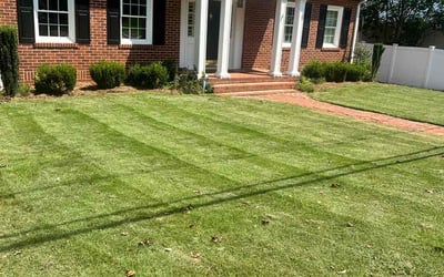 Photo of Terri R.'s yard after getting lawn care in Carrollton, GA