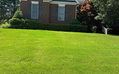 Photo of Judy C.'s yard after getting lawn care in Florence, KY