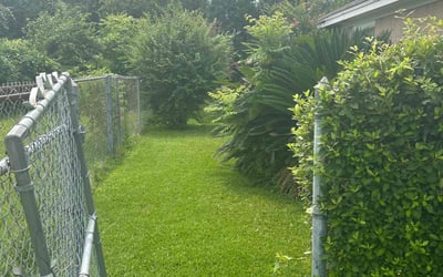 Photo of Fatima M.'s yard after getting lawn care in Beaumont, TX