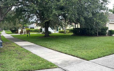 Photo of Audra G.'s yard after getting lawn care in St. Louis, MO
