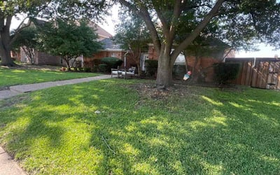 Photo of Brian J.'s yard after getting lawn care in Mahopac, NY