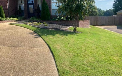 Photo of Brandy C.'s yard after getting lawn care in Olive Branch, MS