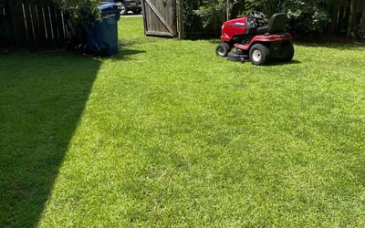 Photo of Daniel S.'s yard after getting lawn care in Summerville, SC